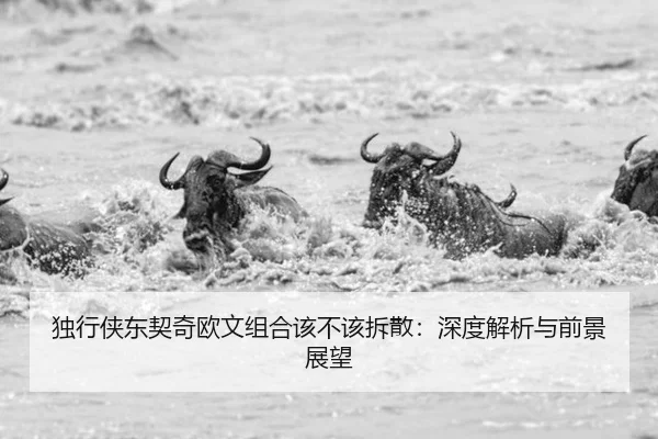 du-xing-xia-dong-qi-qi-ou-wen-zu-he-gai-bu-gai-chai-san-shen-du-jie-xi-yu-qian-jing-zhan-wang-2-475.jpg